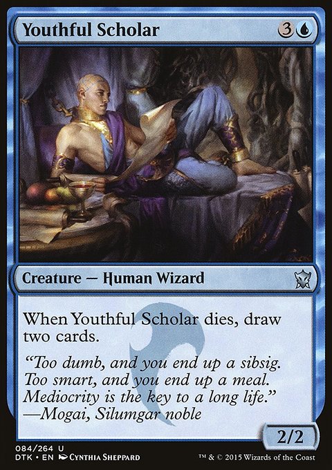 Youthful Scholar